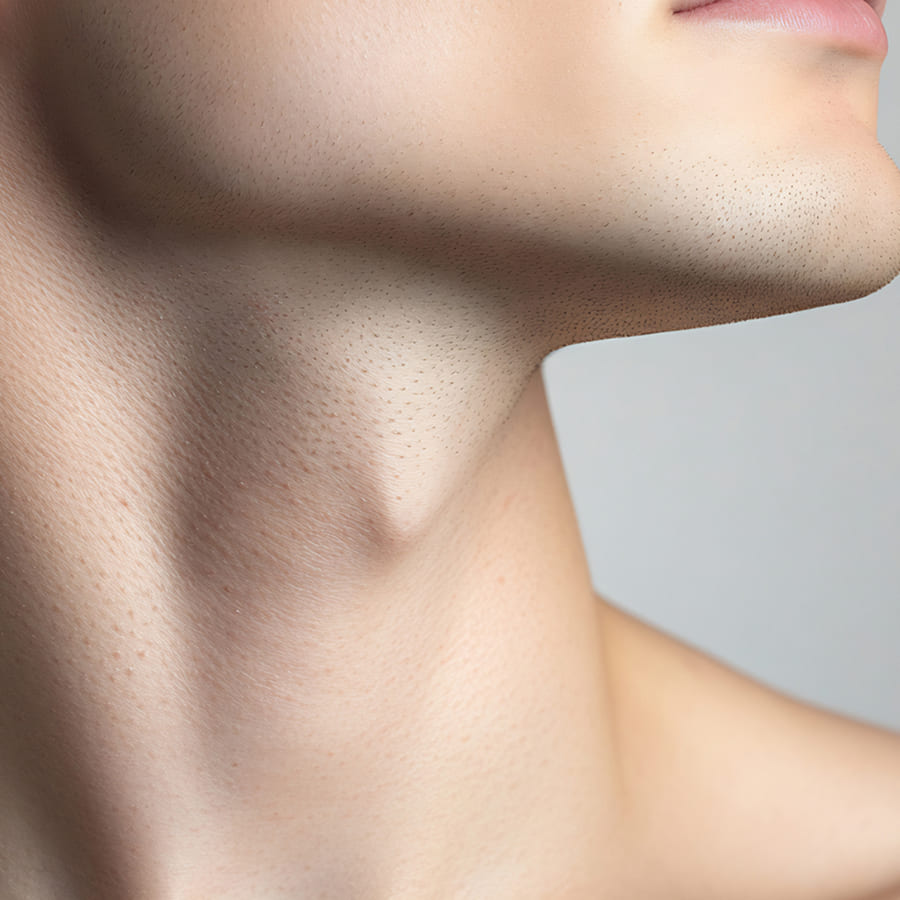 Preenchimento de Mandíbula